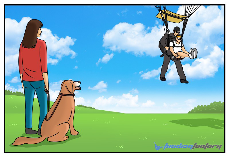 hund hund