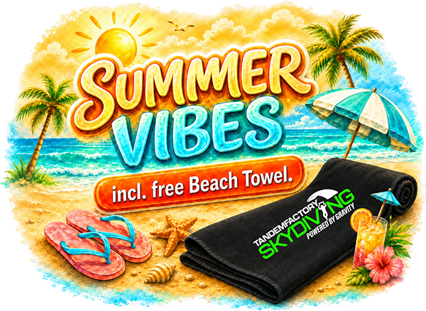 Summer Vibes