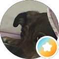 Sylvia Avatar